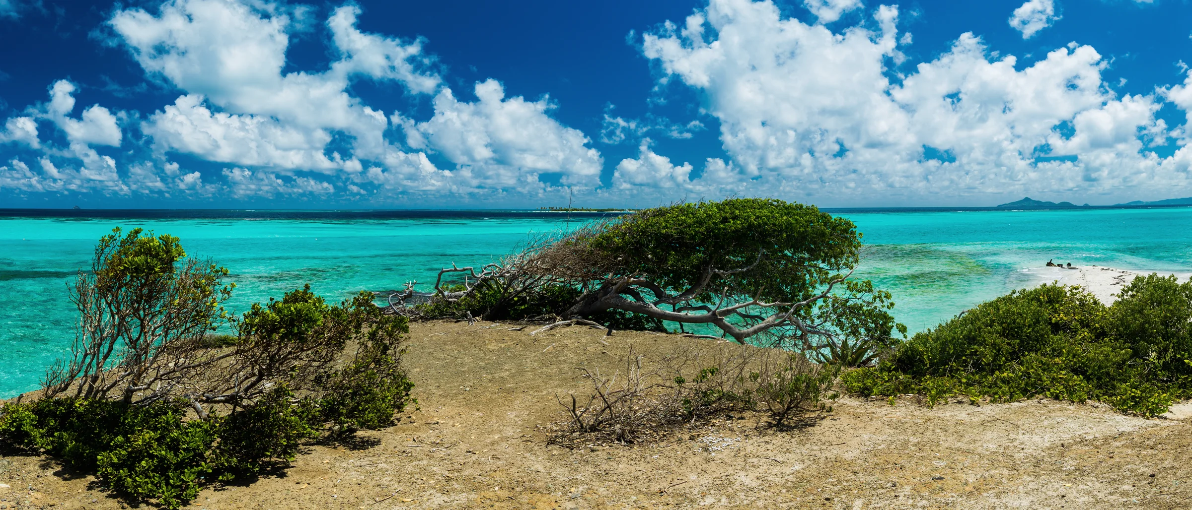 Wide lagoon view across the Tobago Cays